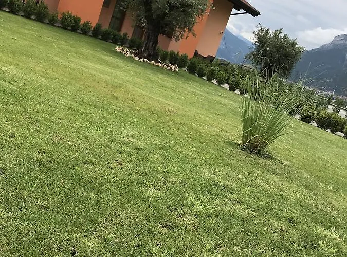 Maso Miri トレント