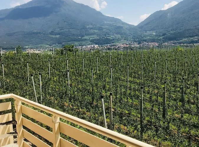 בית חווה Maso Miri